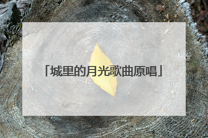 城里的月光歌曲原唱