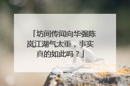 坊间传闻向华强陈岚江湖气太重，事实真的如此吗？