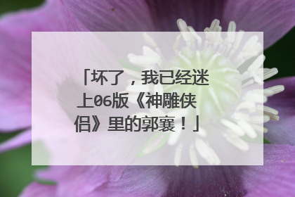 坏了,我已经迷上06版《神雕侠侣》里的郭襄!