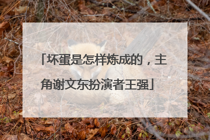坏蛋是怎样炼成的，主角谢文东扮演者王强