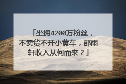 坐拥4200万粉丝，不卖货不开小黄车，邵雨轩收入从何而来？