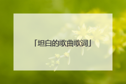 坦白的歌曲歌词