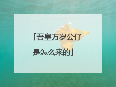 吾皇万岁公仔是怎么来的