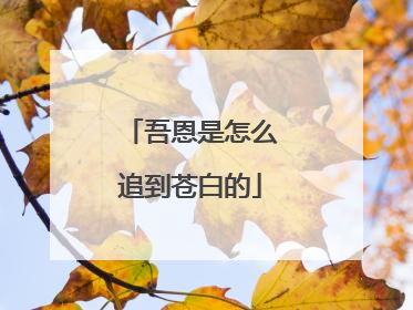 吾恩是怎么追到苍白的