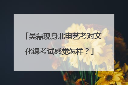 吴磊现身北电艺考对文化课考试感觉怎样？