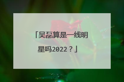 吴磊算是一线明星吗2022？