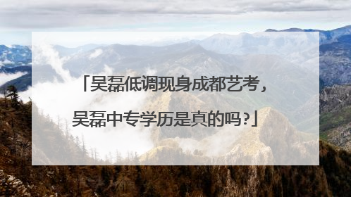 吴磊低调现身成都艺考,吴磊中专学历是真的吗?