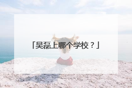 吴磊上哪个学校？