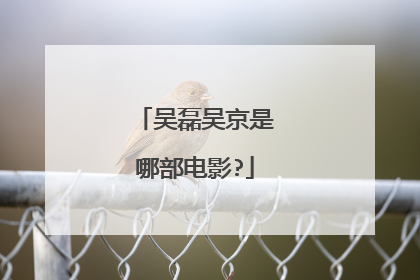 吴磊吴京是哪部电影?