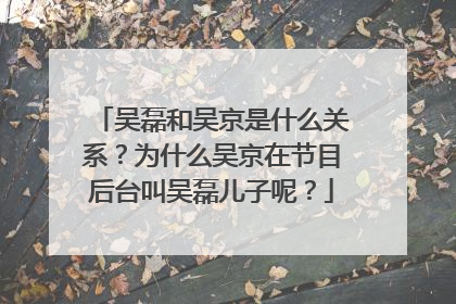 吴磊和吴京是什么关系？为什么吴京在节目后台叫吴磊儿子呢？