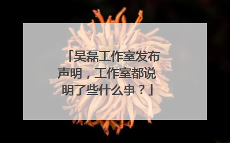 吴磊工作室发布声明,工作室都说明了些什么事?