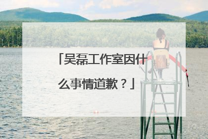 吴磊工作室因什么事情道歉？