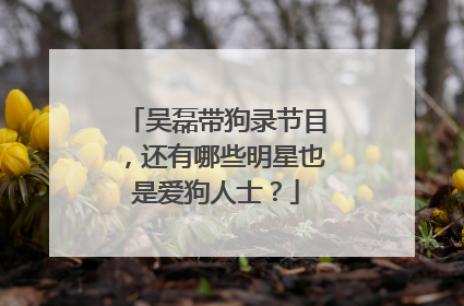 吴磊带狗录节目，还有哪些明星也是爱狗人士？