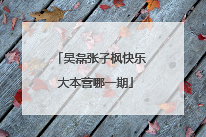 吴磊张子枫快乐大本营哪一期