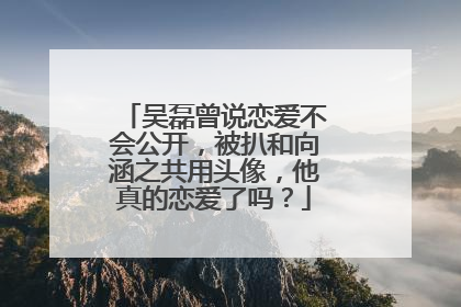 吴磊曾说恋爱不会公开,被扒和向涵之共用头像,他真的恋爱了吗?