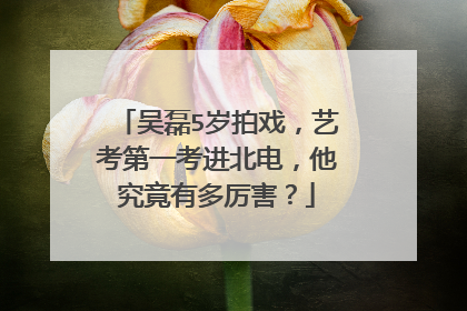 吴磊5岁拍戏，艺考第一考进北电，他究竟有多厉害？