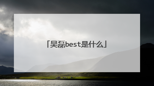 吴磊best是什么