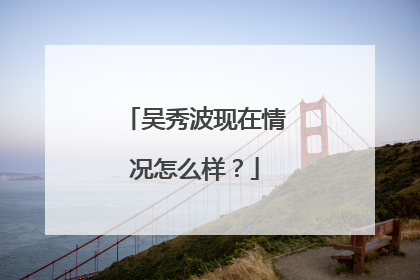 吴秀波现在情况怎么样?