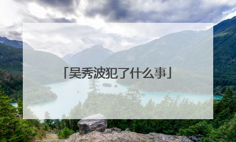 吴秀波犯了什么事