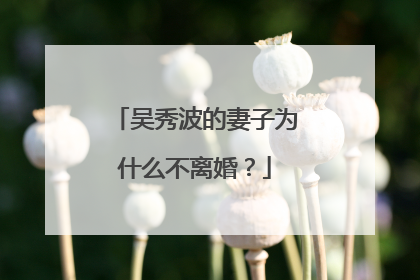 吴秀波的妻子为什么不离婚？