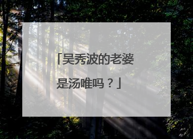 吴秀波的老婆是汤唯吗?