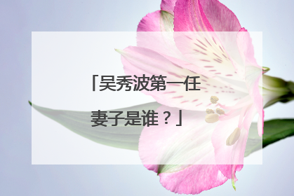 吴秀波第一任妻子是谁？