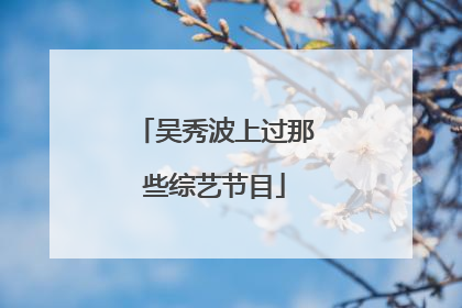 吴秀波上过那些综艺节目