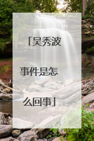 吴秀波事件是怎么回事