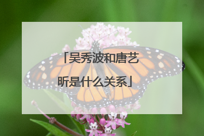 吴秀波和唐艺昕是什么关系