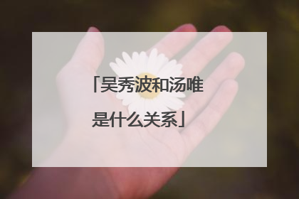 吴秀波和汤唯是什么关系
