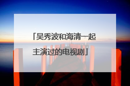 吴秀波和海清一起主演过的电视剧