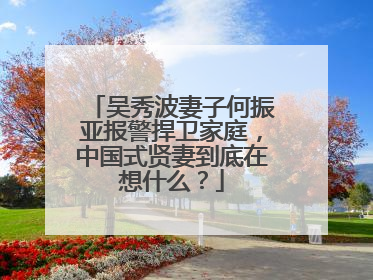 吴秀波妻子何振亚报警捍卫家庭,中国式贤妻到底在想什么?