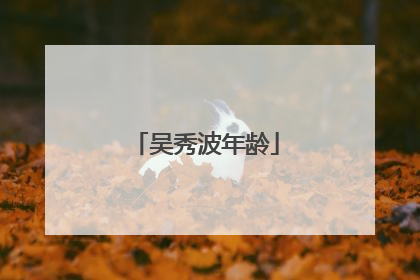 吴秀波年龄