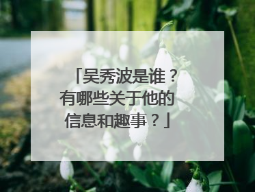 吴秀波是谁?有哪些关于他的信息和趣事?