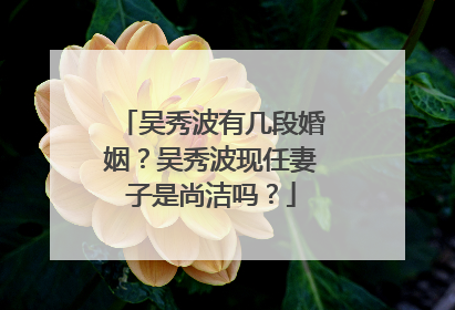 吴秀波有几段婚姻?吴秀波现任妻子是尚洁吗?