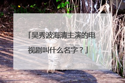 吴秀波海清主演的电视剧叫什么名字？