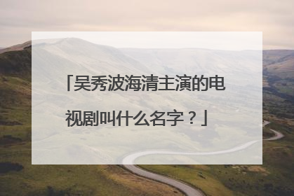 吴秀波海清主演的电视剧叫什么名字？