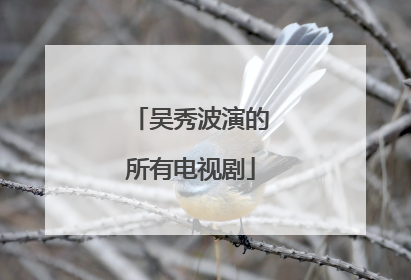 吴秀波演的所有电视剧