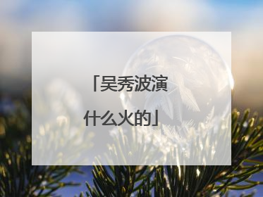 吴秀波演什么火的