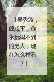 吴秀波,郎咸平,你永远得不到的男人,现在怎么样看?