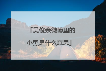 吴俊余微博里的小黑是什么意思
