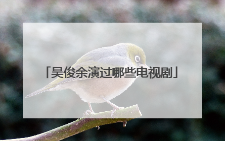 吴俊余演过哪些电视剧