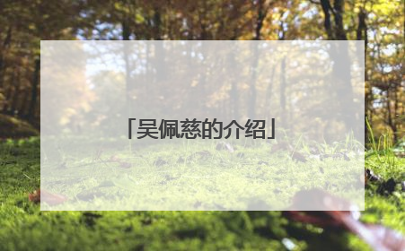 吴佩慈的介绍