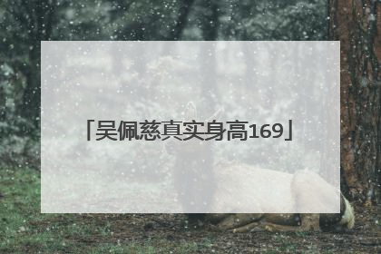 吴佩慈真实身高169