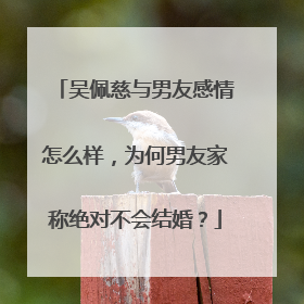 吴佩慈与男友感情怎么样,为何男友家称绝对不会结婚?