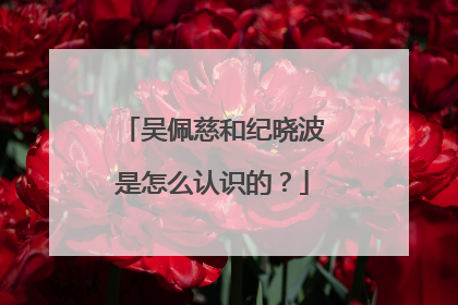 吴佩慈和纪晓波是怎么认识的?