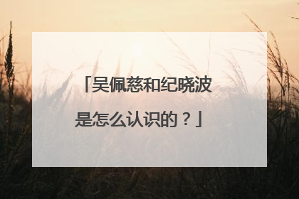 吴佩慈和纪晓波是怎么认识的？