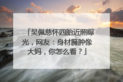 吴佩慈怀四胎近照曝光,网友:身材臃肿像大妈,你怎么看?