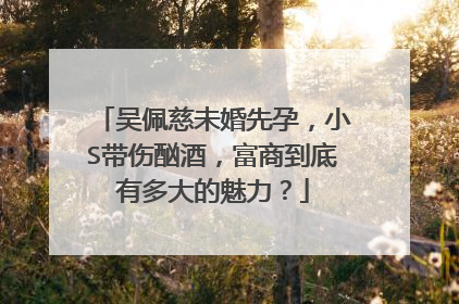 吴佩慈未婚先孕,小S带伤酗酒,富商到底有多大的魅力?