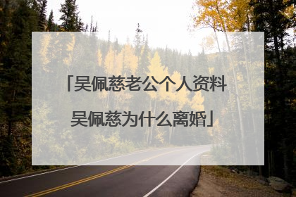 吴佩慈老公个人资料 吴佩慈为什么离婚